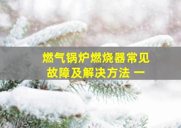 燃气锅炉燃烧器常见故障及解决方法 一